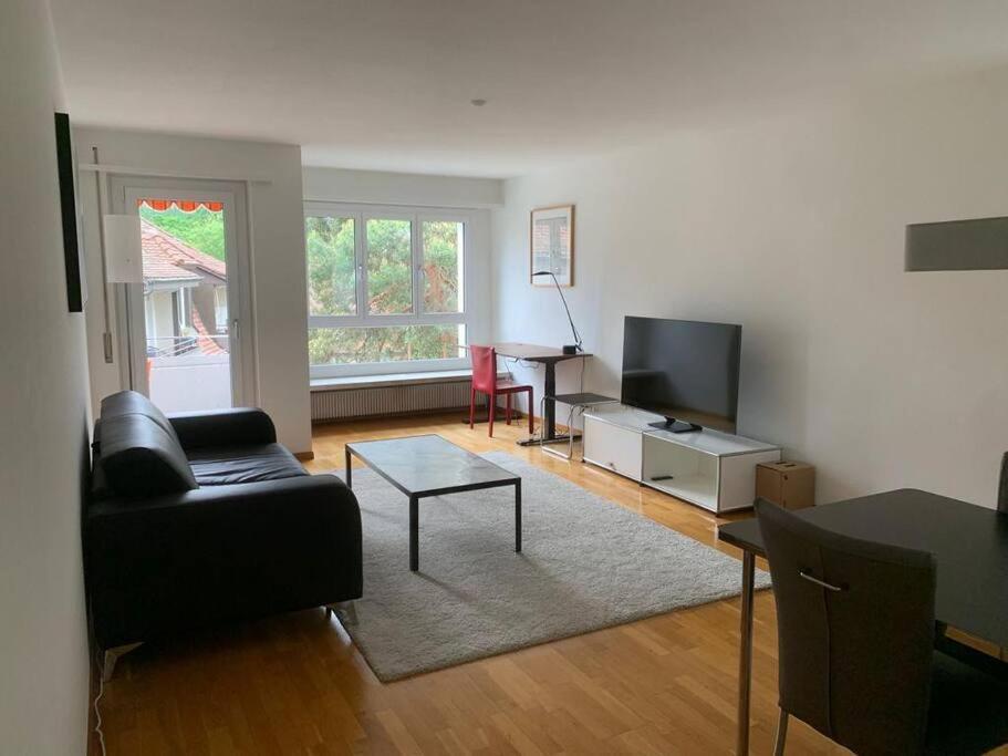 Fantastic 1br Flat In The Center - Marble 1 Zurique
